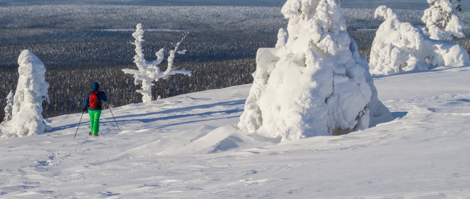 schneeschuhwanderungen-bayerischer-wald-winterurlaub