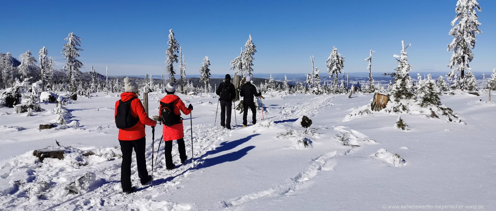 Kammwanderung Zwercheck Osser Bayerischer Wald Schneeschuhwandern Zwiesel im Landkreis Regen